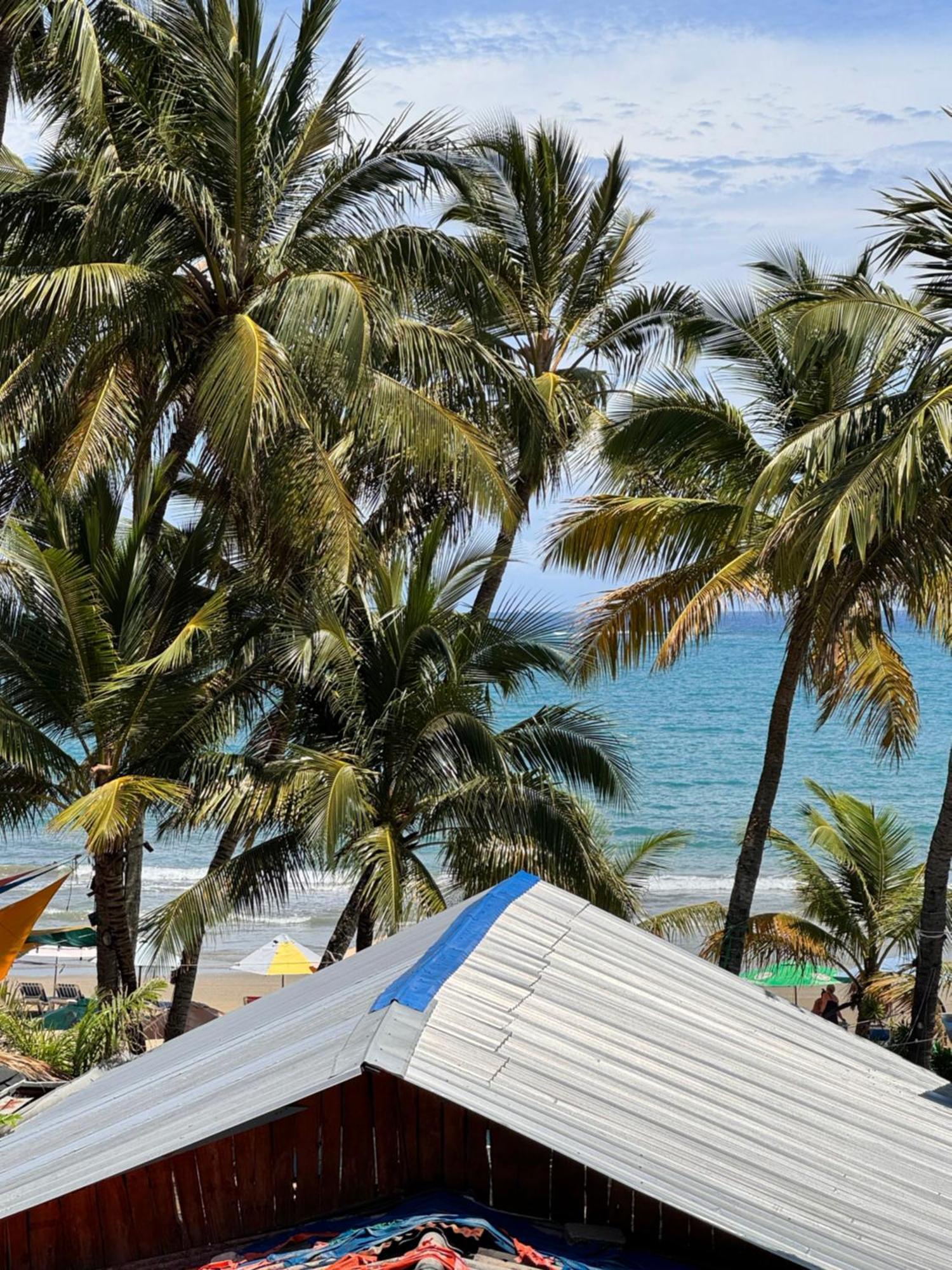 Wing Camp Hostel Cabarete Ngoại thất bức ảnh
