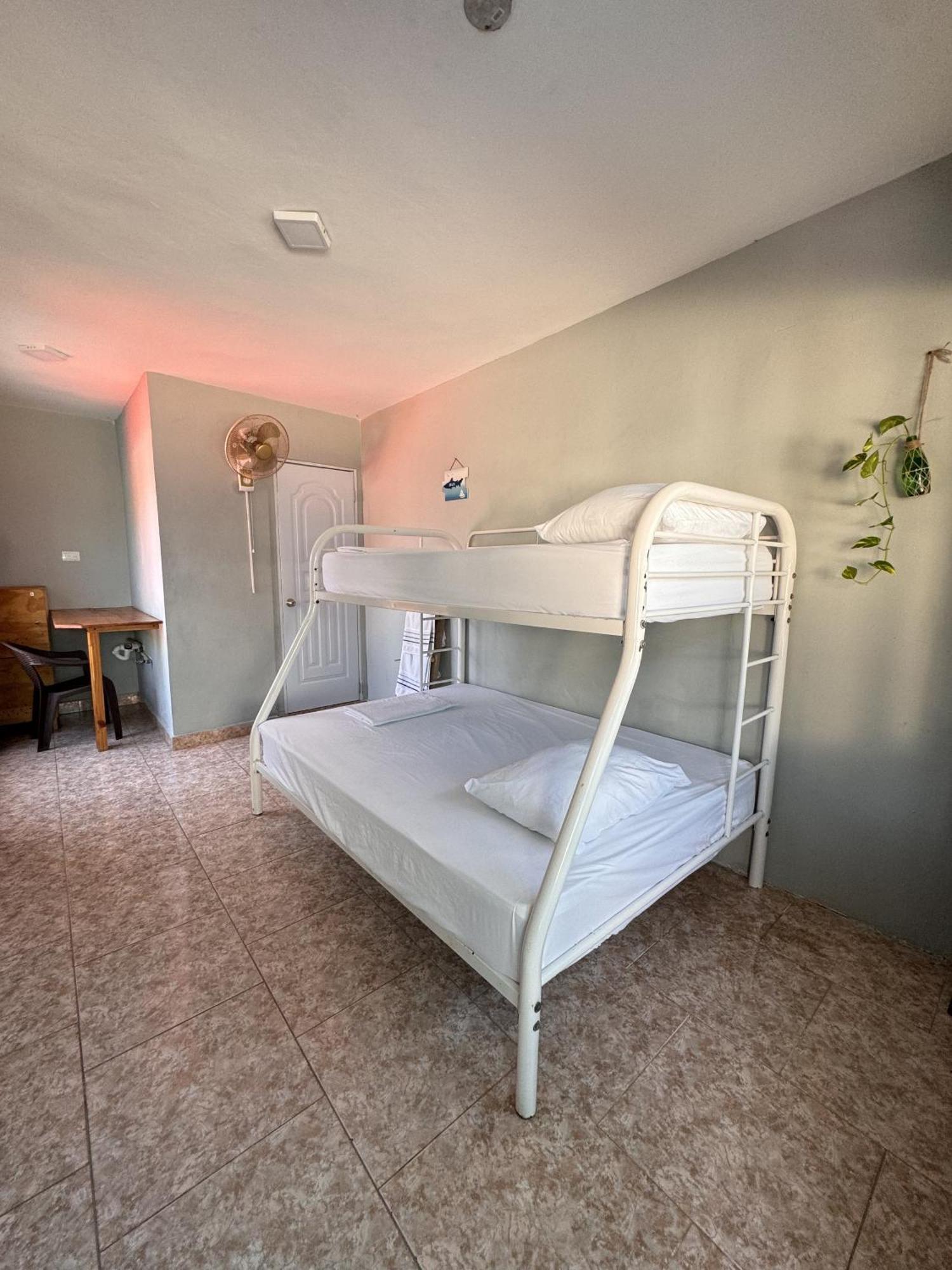 Wing Camp Hostel Cabarete Ngoại thất bức ảnh